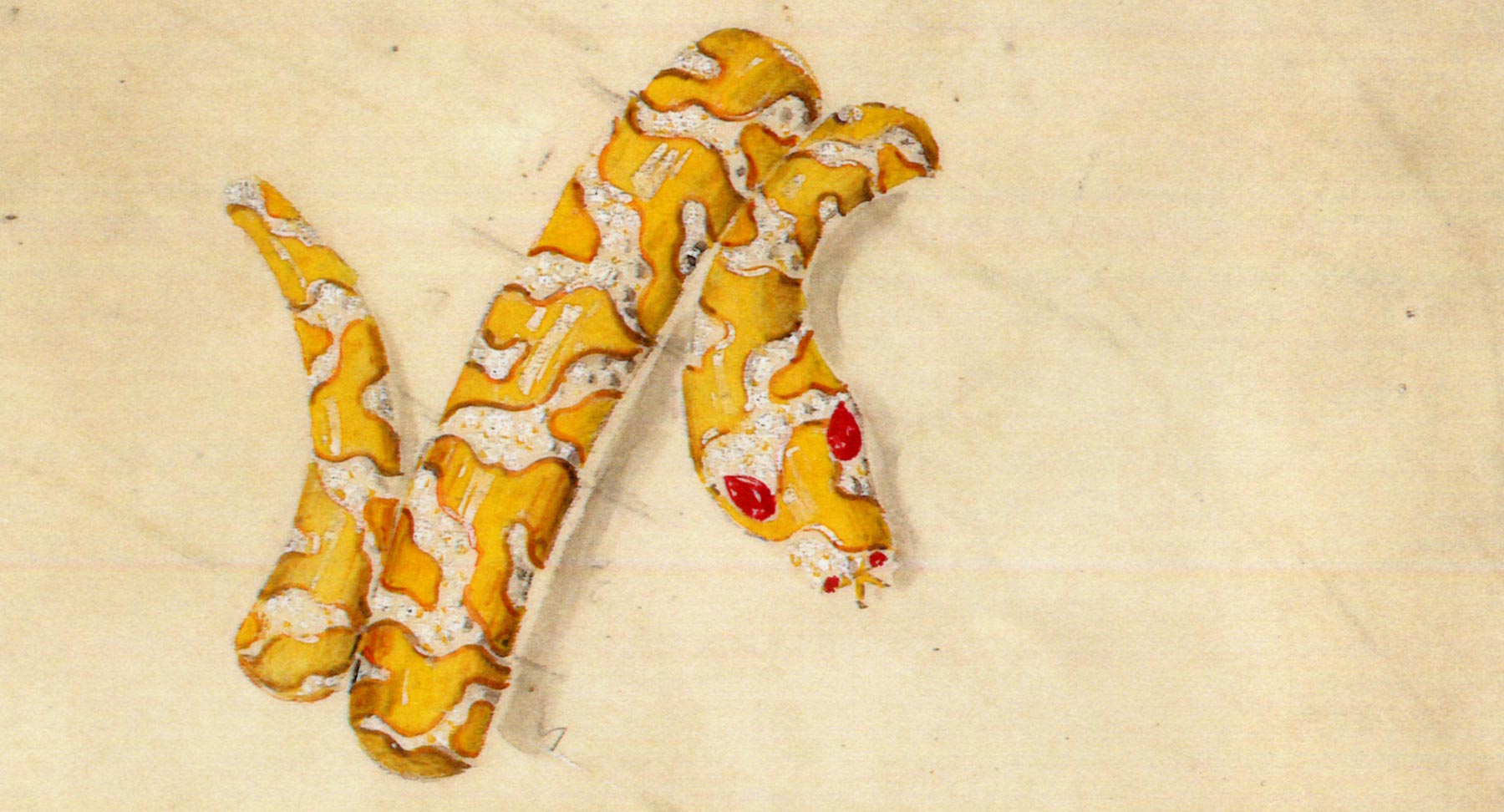 SNAKE-yellow-and-white-1800